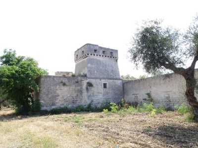 La nostra prossima tappa � situata invece nella campagna dell�interno confinante con quella tranese. Si tratta di Torre Palombara, quadrangolare, con la struttura merlata e le feritoie a vista tipiche delle sentinelle del XV secolo. � inglobata in una grande masseria fortificata del 1815 (Foto di Giuseppe Maldera)